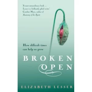 Image of Broken Open: How difficult times can help us grow by Elizabeth Lesser (Paperback, 2004)