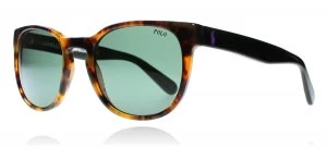 image of Polo Ralph Lauren PH4099 Sunglasses Tortoise / Green 561871 52mm