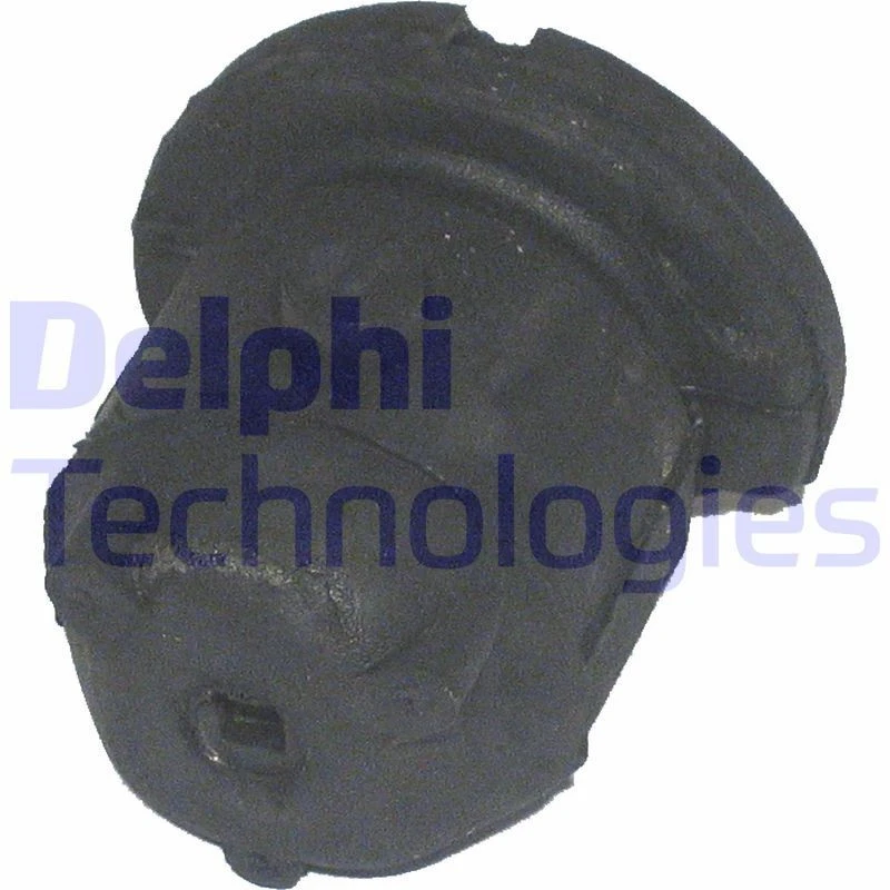Image of DELPHI Trailing arm / Suspension arm bush DELPHI TD352W