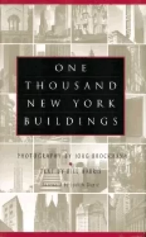 Image of one thousand new york buildings