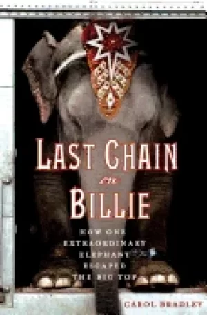 Image of last chain on billie how one extraordinary elephant escaped the big top