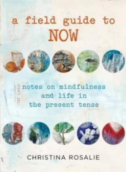 Image of A Field Guide to Now by Christina Rosalie Hardback