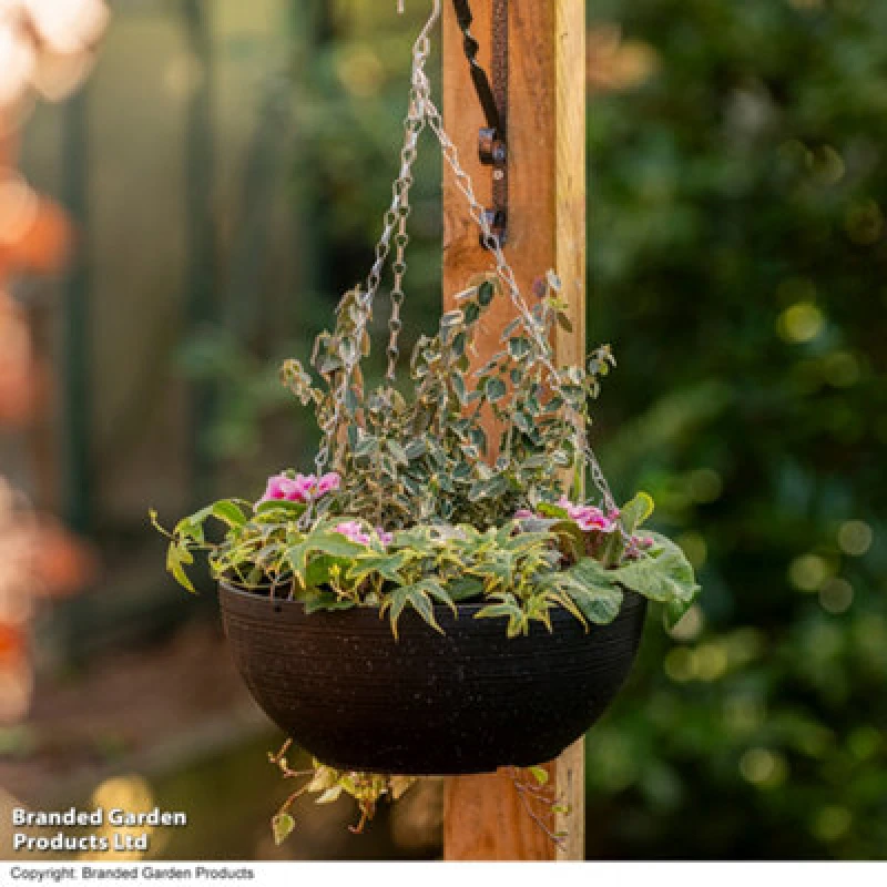 Image of Garden Gear Stone Effect 35Cm Hanging Basket Planter Outdoor Black With Spot (X2)