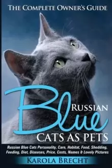Image of Russian Blue Cats as Pets. Personality, Care, Habitat, Feeding, Shedding, Diet, Diseases, Price, Costs, Names & Lovely Pictures. Russian Blue Cats Com