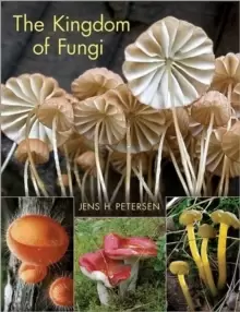 Image of The Kingdom of Fungi