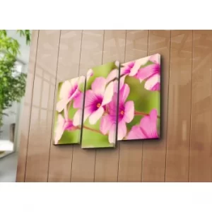 Image of 3NATPAT-38 Multicolor Decorative Canvas Painting (3 Pieces)