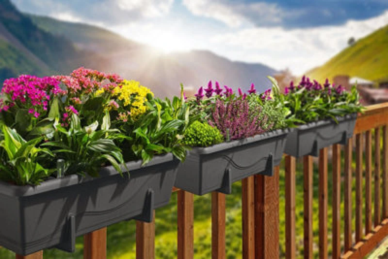 Image of Swift Set Of 2X 400mm - Self-Watering Planters, Troughs, Flowerpots For Balconies - With Vermiculite - W39 D21 H17Cm, 7.8L - Anthracite