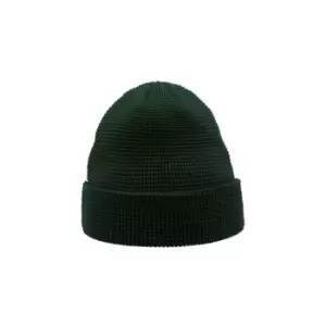 Image of Atlantis Blog Waffle Beanie (One Size) (Bottle Green)