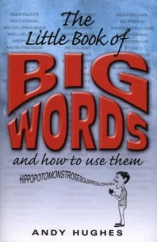 Image of The Little Book of Big Words and How to Use Them by Andy Hughes Hardback