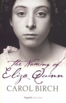 Image of The Naming of Eliza Quinn by Carol Birch Paperback