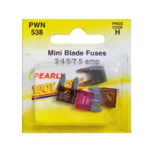 image of WOT-NOTS Fuses - Mini Blade - Assorted - Pack Of 4 - PWN538