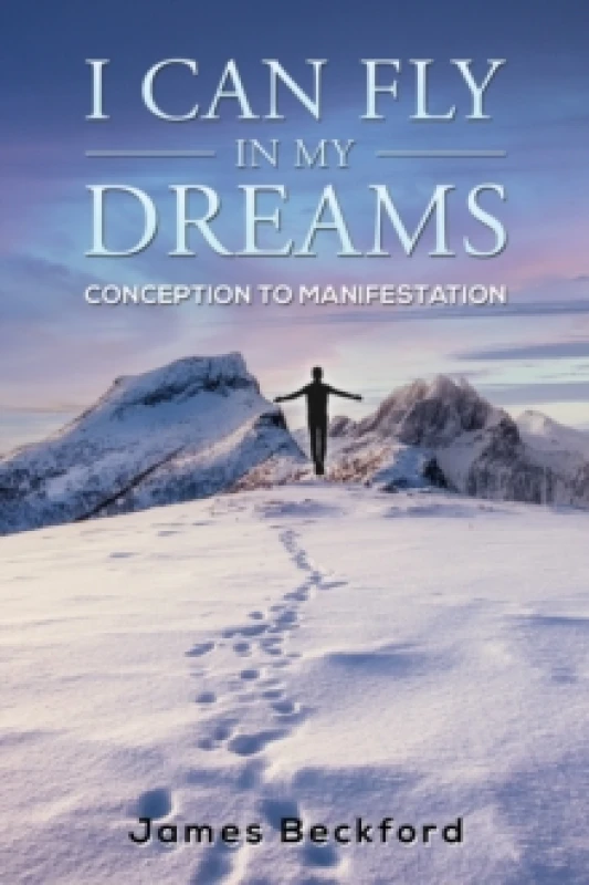 Image of I Can Fly in My Dreams: Conception to Manifestation Paperback / softback