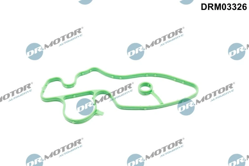 Image of DR.MOTOR AUTOMOTIVE Gasket, coolant flange DR.MOTOR AUTOMOTIVE DRM03326