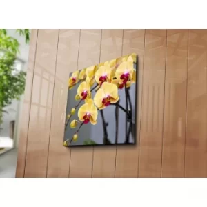 Image of 4545C-84 Multicolor Decorative Canvas Painting