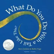 Image of what do you do with a tail like this