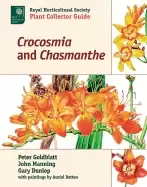 Image of crocosmia and chasmanthe