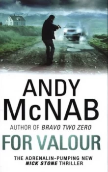Image of For Valour by Andy Mcnab Hardback