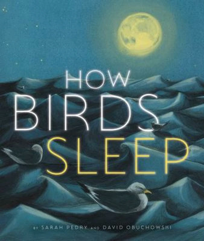 Image of David Obuchowski How Birds Sleep Book Multi unisex
