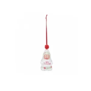 image of Snow Gnome Up to Gnome Good Hanging Ornament