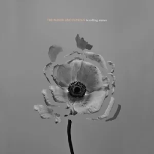 Image of In Rolling Waves by The Naked and Famous CD Album