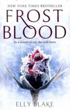 Image of Frostblood by Elly Blake Book