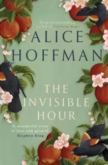 Image of The Invisible Hour
