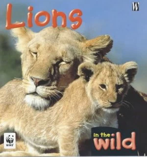 Image of Lions by Patricia Kendell Hardback