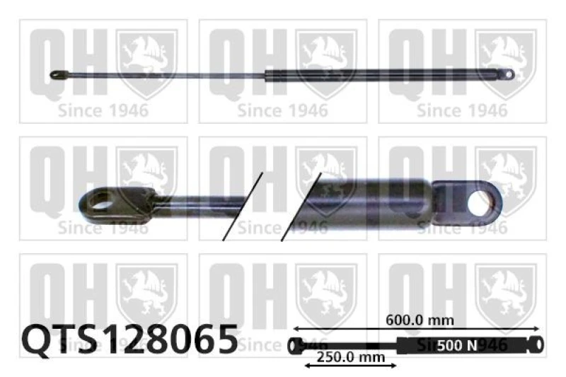 Image of QUINTON HAZELL Tailgate strut QUINTON HAZELL QTS128065