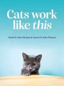 Image of Cats Work Like This