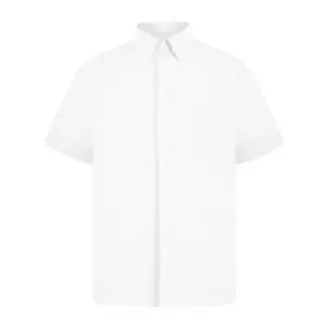 Image of Absolute Apparel Mens Short Sleeved Oxford Shirt (2XL) (White)