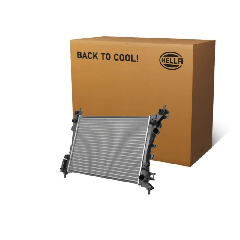 Image of HELLA Engine radiator HELLA 8MK 366 301-601
