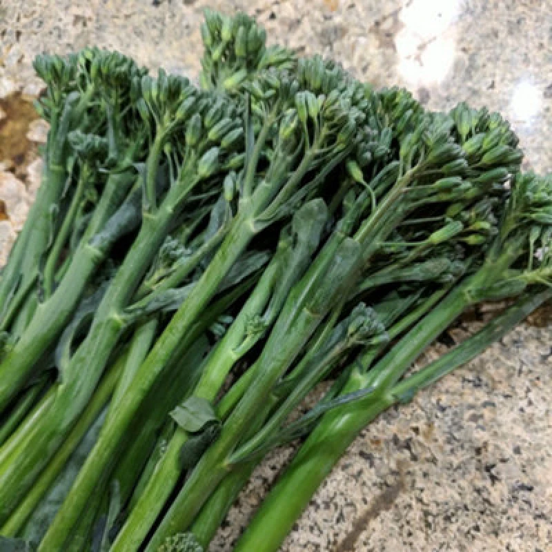 Image of Thompson & Morgan Tenderette F1 Broccoli Seeds - Chinese Kale Hybrid Hardy Sweet Florets & Stems 2-3 Harvests/month