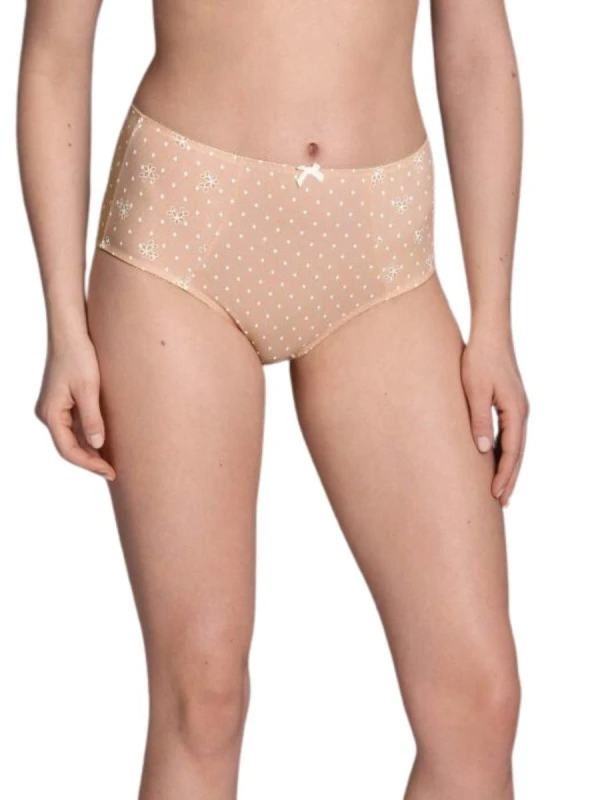 Image of Anita Womens Belvedere High Waist Brief+ in Pink Size: 16 Pink Female 16