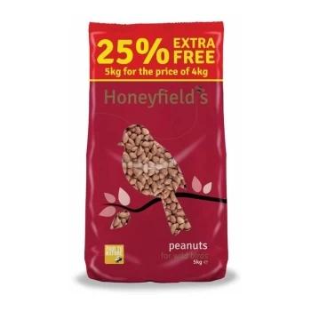 image of Peanuts 5kg - 71050005 - Honeyfield's