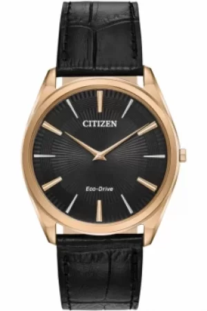 Image of Citizen Watch AR3073-06E
