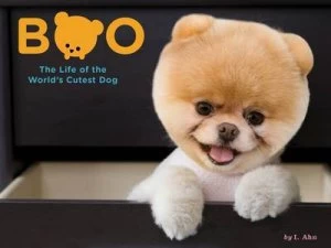 Image of Boo by J. H Lee Book