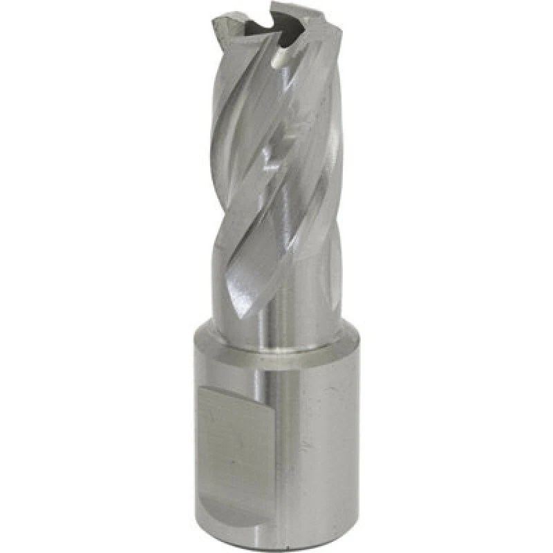 Image of Loops 15mm x 25mm Depth Rotabor Cutter - M2 Steel Annular Metal Core Drill 19mm Shank Metallics
