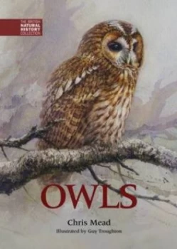 Image of Owls by Chris Mead
