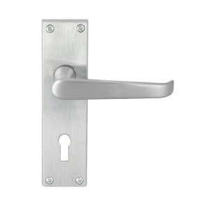 image of Jedo Victorian Chrome Straight Door Handle On Backplate