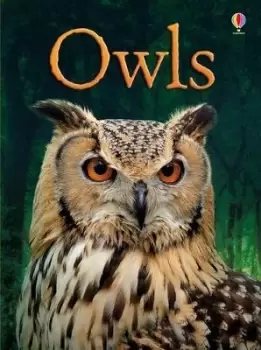 Image of Owls by Emily Bone