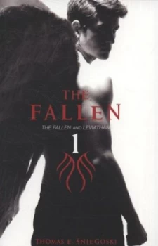 Image of The Fallen by Thomas E Sniegoski Book