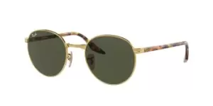 image of Ray-Ban Sunglasses RB3691F Asian Fit 001/31