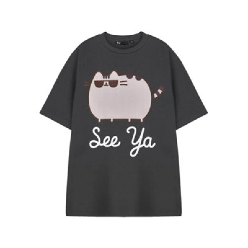 Image of Pusheen Pusheen Short Sleeved T-Shirt in Grey Size: Small Grey S Unisex 5063203904044