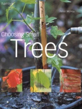 Image of Choosing Small Trees by Peter Mchoy Hardback