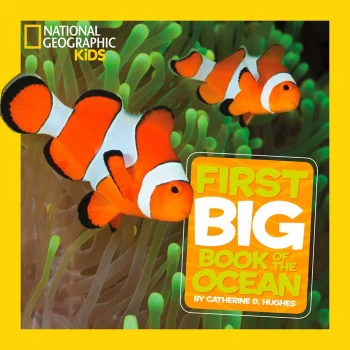 Image of First book of the ocean by Catherine D Hughes