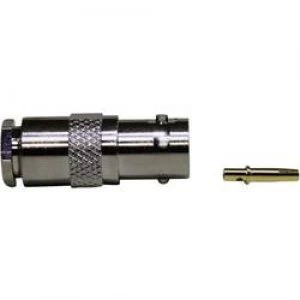 Image of BNC connector Socket straight 75