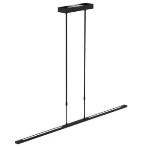 Image of Zelena LED Integrated Pendant Ceiling Light Light Black Matt, Plastic Matt