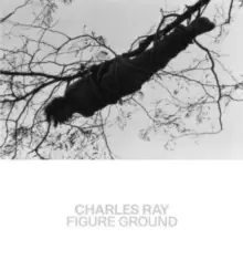 image of Charles Ray - Figure Ground