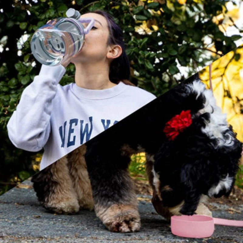 Image of asobu Tritan Water Bottle with Dog Bowl Pink 1.5 Litre Pink