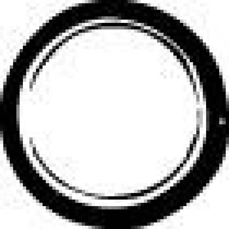 Image of Exhaust pipe gasket VEGAZ FD-137